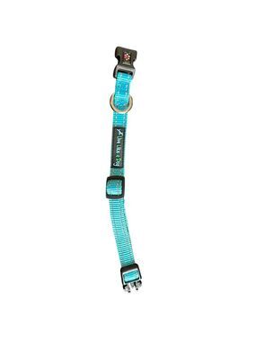Small dog or cat Collar